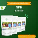 NPK 20 20 20 Fertilizer Price in Pakistan