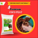 Coco Peat for Plants in Pakistan