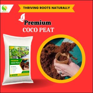 Coco Peat for Plants in Pakistan