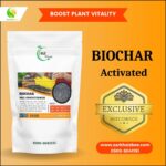 Biochar Price in Pakistan Activated Biochar Fertilizer for Soil Health | ZarkhaizBee - Image 2