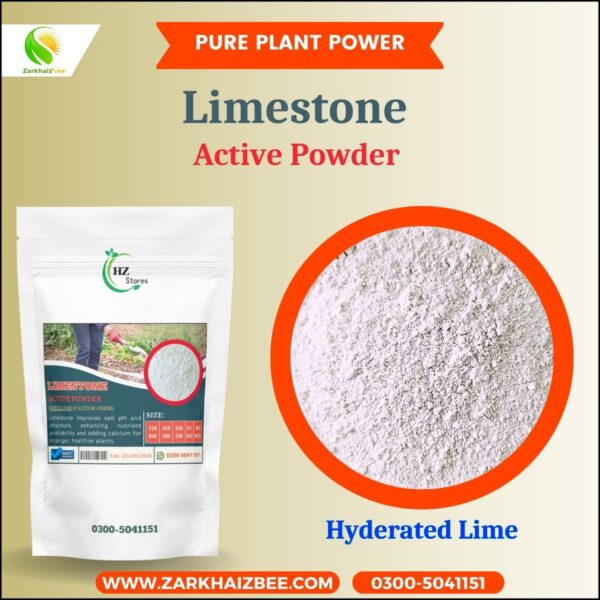 Limestone Active Powder - Image 5