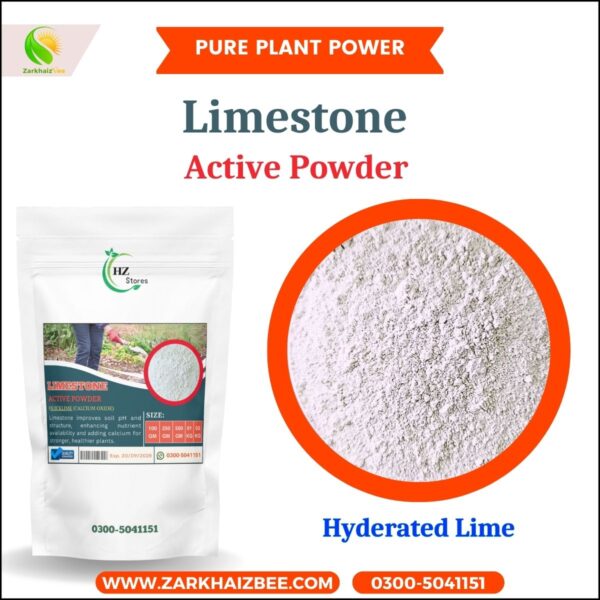 Limestone Active Powder