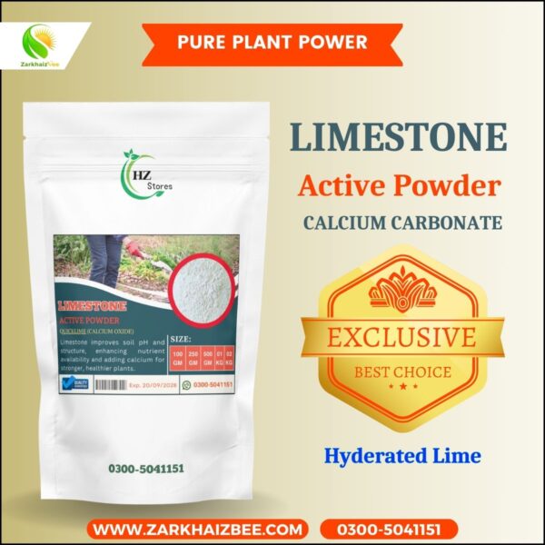 Limestone Active Powder - Image 4