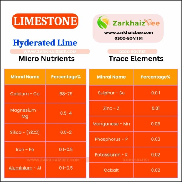 Limestone Active Powder - Image 2