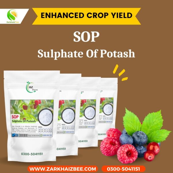 Premium SOP Fertilizer - Image 4