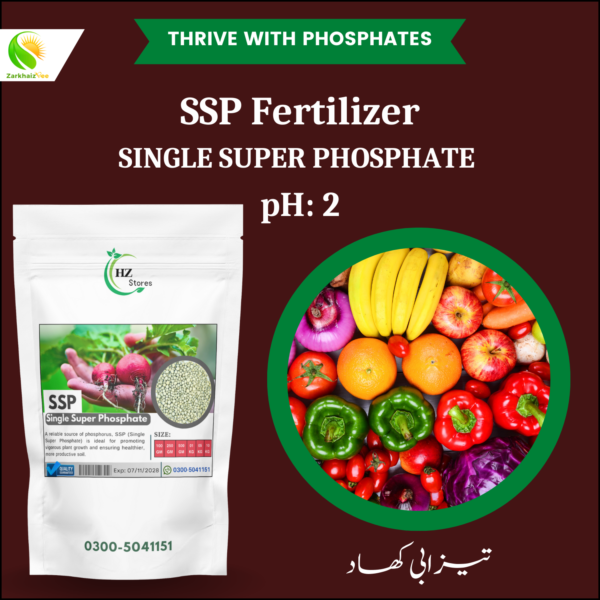 SSP-Fertilizer