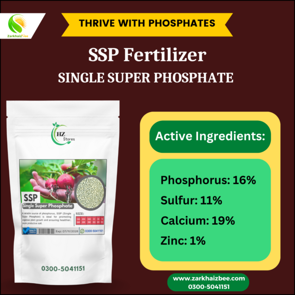 SSP Fertilizer | Single Super Phosphate - Image 4