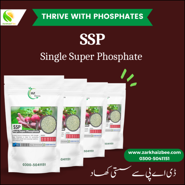 SSP Fertilizer | Single Super Phosphate - Image 3