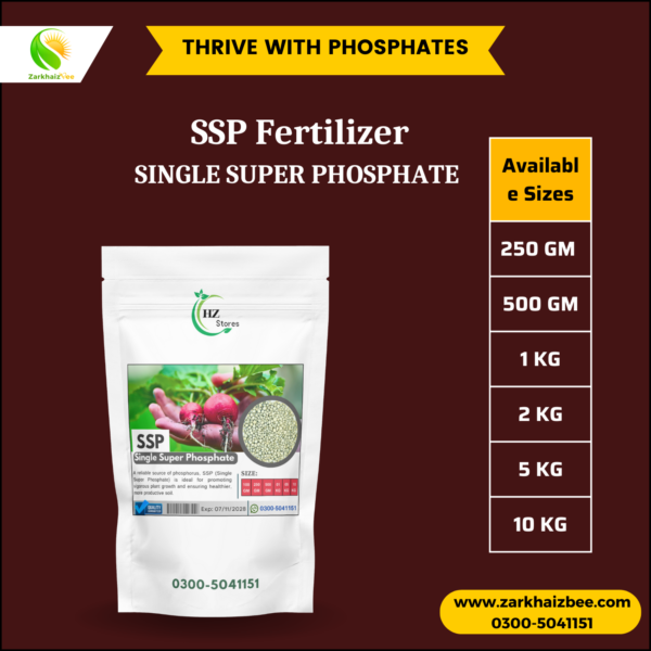 SSP Fertilizer | Single Super Phosphate - Image 2