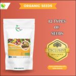 12 Summer Vegetables Seeds Pack | 1-10 Marla Area - Image 3