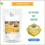 12 Summer Vegetables Seeds Pack | 1-10 Marla Area