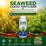 Seaweed Price In Pakistan | Liquid Fertilizer Price in Pakistan | Natural Plant Anti Stress and Growth Booster | ZarkhaizBee