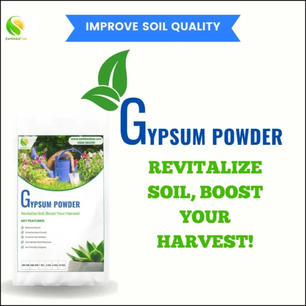 Gypsum Powder