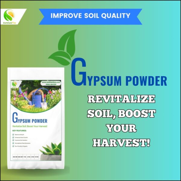 Gypsum Powder - Image 2