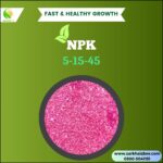 NPK 5 15 45 Price in Pakistan, Premium Bloom and Fruit Booster Fertilizer for High Yield Plants | ZarkhaizBee - Image 2