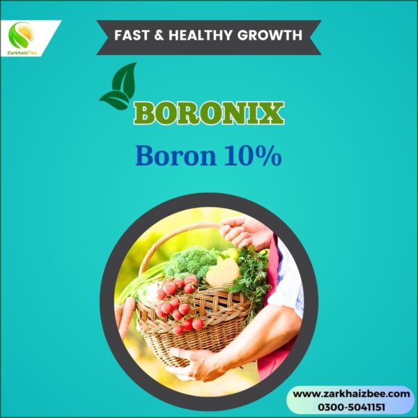Boronix Boron 10% | Fertilizer for plants - Image 2