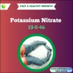Potassium Nitrate | Fertilizer for plants - Image 2