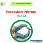 Potassium Nitrate | Fertilizer for plants