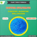 Copper Sulphate - Image 2