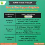 Copper Sulphate - Image 3