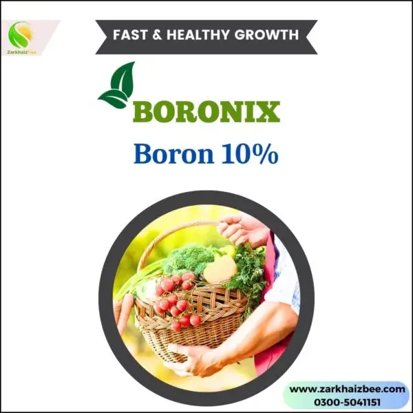 Boronix Boron 10% | Fertilizer for plants