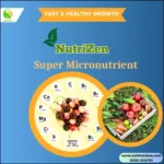 NutriZen - Plant Super Micronutrients - Image 2