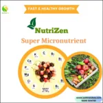 NutriZen - Plant Super Micronutrients