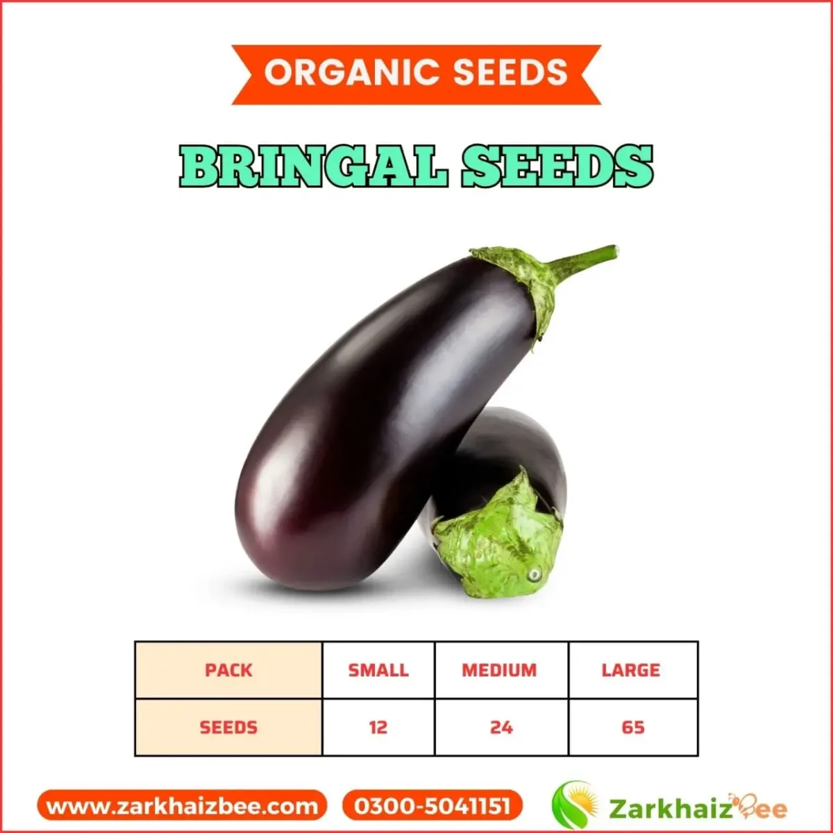 Eggplant Seeds| Brinjal Seeds - Image 1