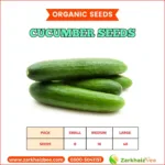 Cucumber Seeds | Desi Seeds