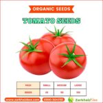 Tomato Seeds
