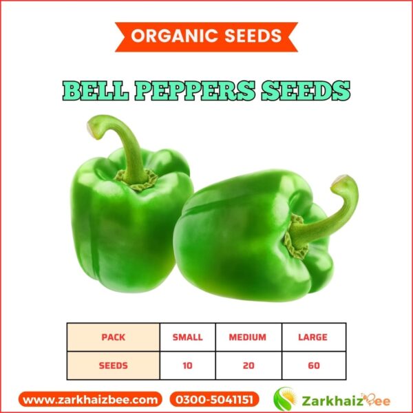 Bell Pepper Seeds | Capsicum Seeds