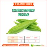 Ridge Gourd Seeds | Pasli Tori Seeds