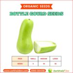 Bottle Gourd Seeds | loki Seeds
