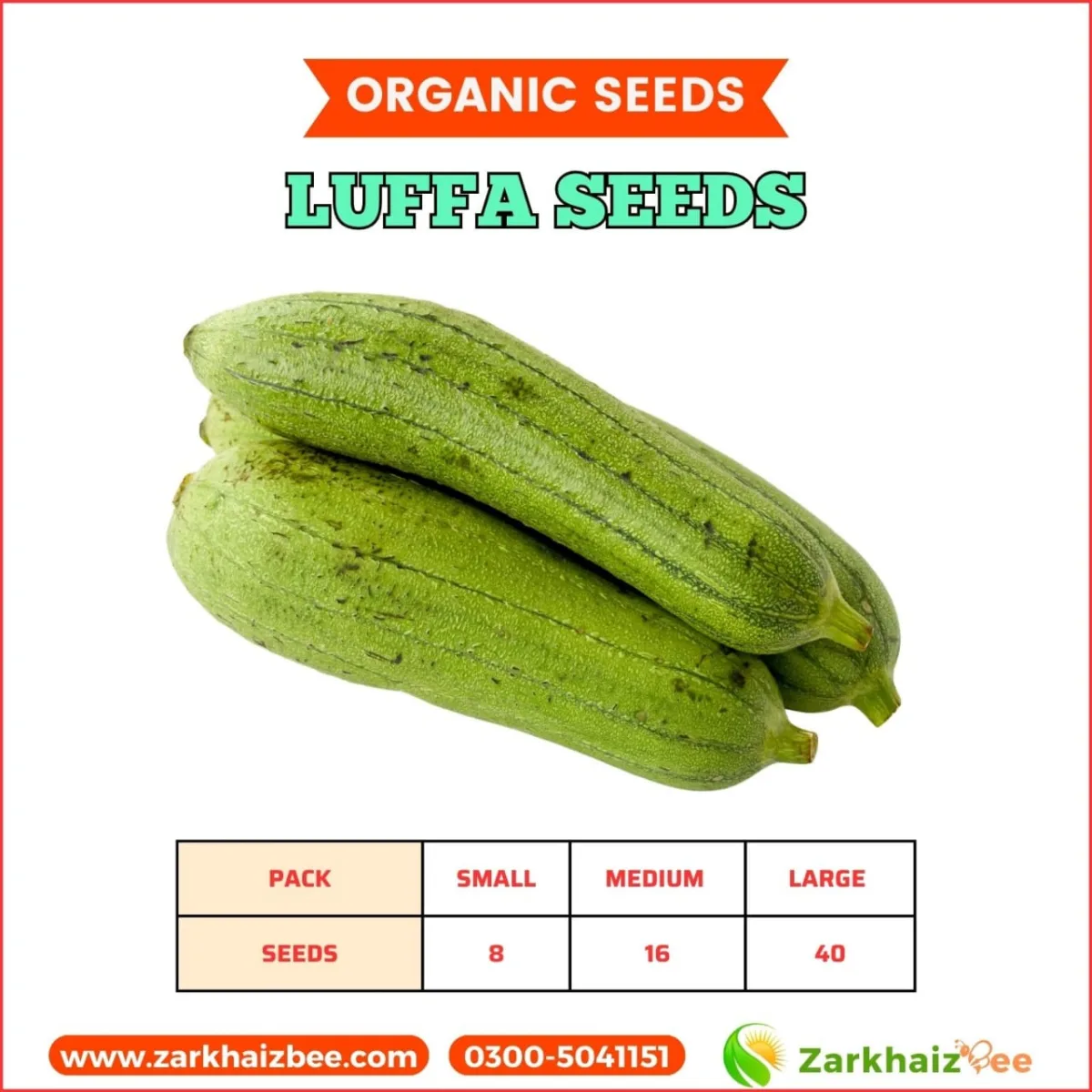 Luffa Gourd Seeds | Sponge Gourd Seeds - Image 1