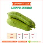 Luffa Gourd Seeds | Sponge Gourd Seeds