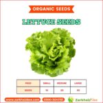 Lettuce Seeds