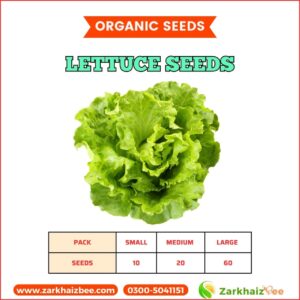 Lettuce Seeds