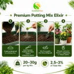 Gardener mixing ZarkhaizBee Potting Mix Elixir into potting soil for tomatoes and succulents in Pakistan
