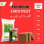 Coco Peat Block Soaked and Fluffed – Moisture Retaining Medium