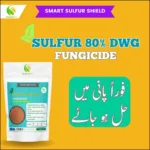 Sulfur 80% WDG Price in Pakistan, Broad Spectrum Fungicide | ZarkhaizBee