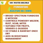 Sulfur 80% WDG Price in Pakistan, Broad Spectrum Fungicide | ZarkhaizBee - Image 2