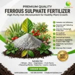 ZarkhaizBee Ferrous Sulphate fertilizer pack for plants in Pakistan