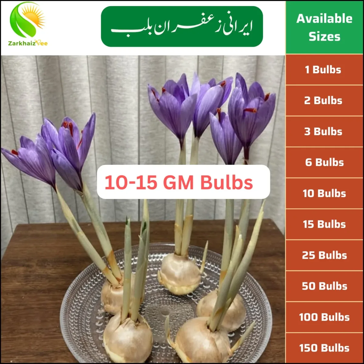 Kesar Bulb Premium Saffron Bulbs (10–15 GM) – High-Quality Kesar Bulbs for ...