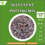 Premium Succulent Potting Mix – Fast Draining Soil for Cactus & Succulents | Organic, Lightweight & Root-Boosting