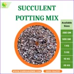 Premium Succulent Potting Mix – Fast Draining Soil for Cactus & Succulents | Organic, Lightweight & Root-Boosting - Image 2