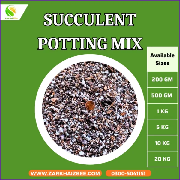 Premium Succulent Potting Mix – Fast Draining Soil for Cactus & Succulents | Organic, Lightweight & Root-Boosting