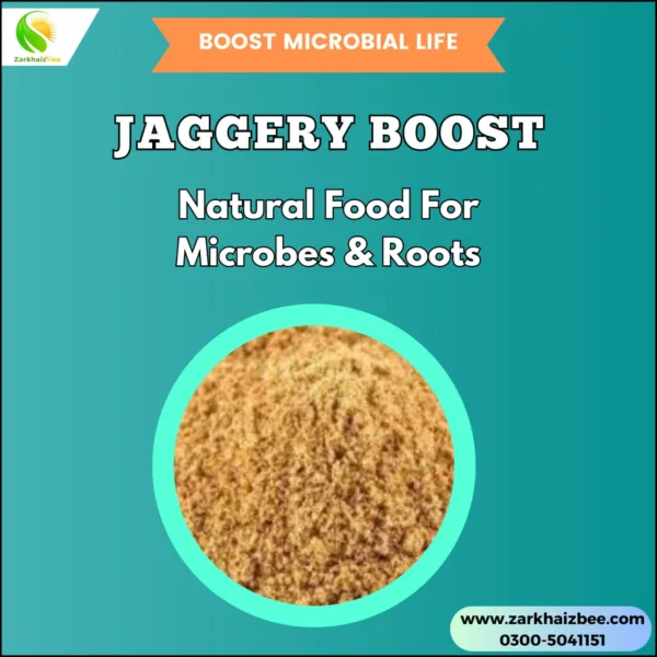 Sawdust Price in Pakistan 2026 – Premium Wood Sawdust Powder | ZarkhaizBee