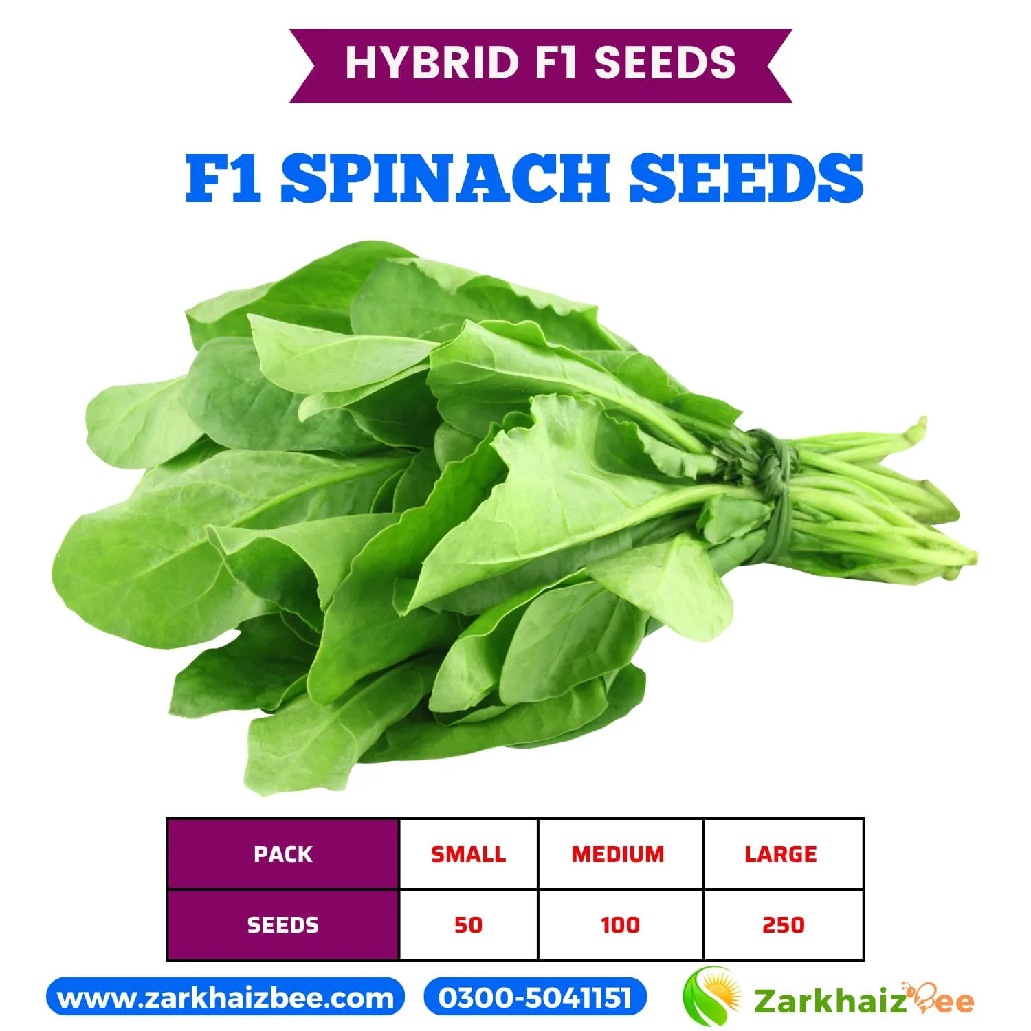 zarkhaizbee-spinach-hybrid-seeds-pack.jpg ZarkhaizBee Spinach Hybrid Seeds Pack Sizes and Seed Count
