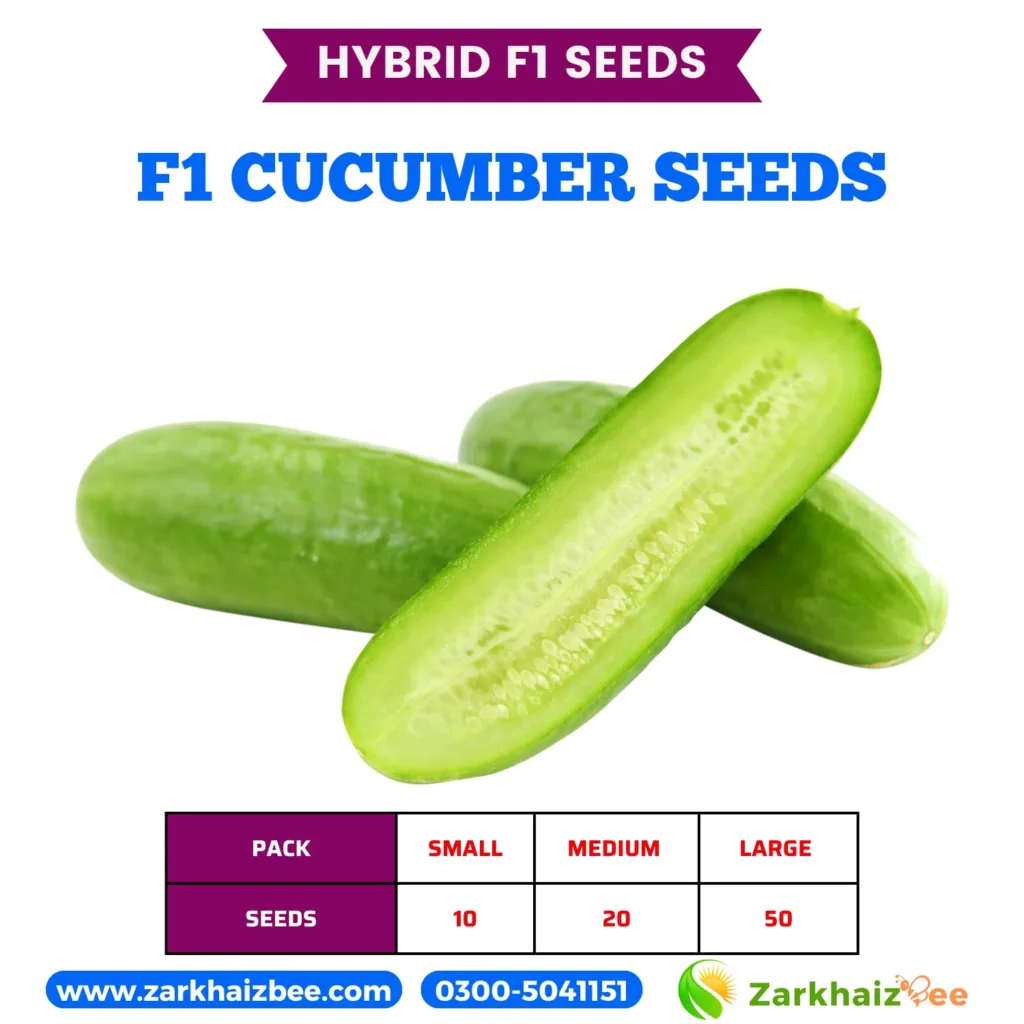 ZarkhaizBee Cucumber Hybrid Seeds Pack Sizes and Seed Count 2026