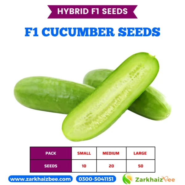 ZarkhaizBee Cucumber Hybrid Seeds Pack Sizes and Seed Count 2026
